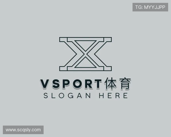 介绍vsport